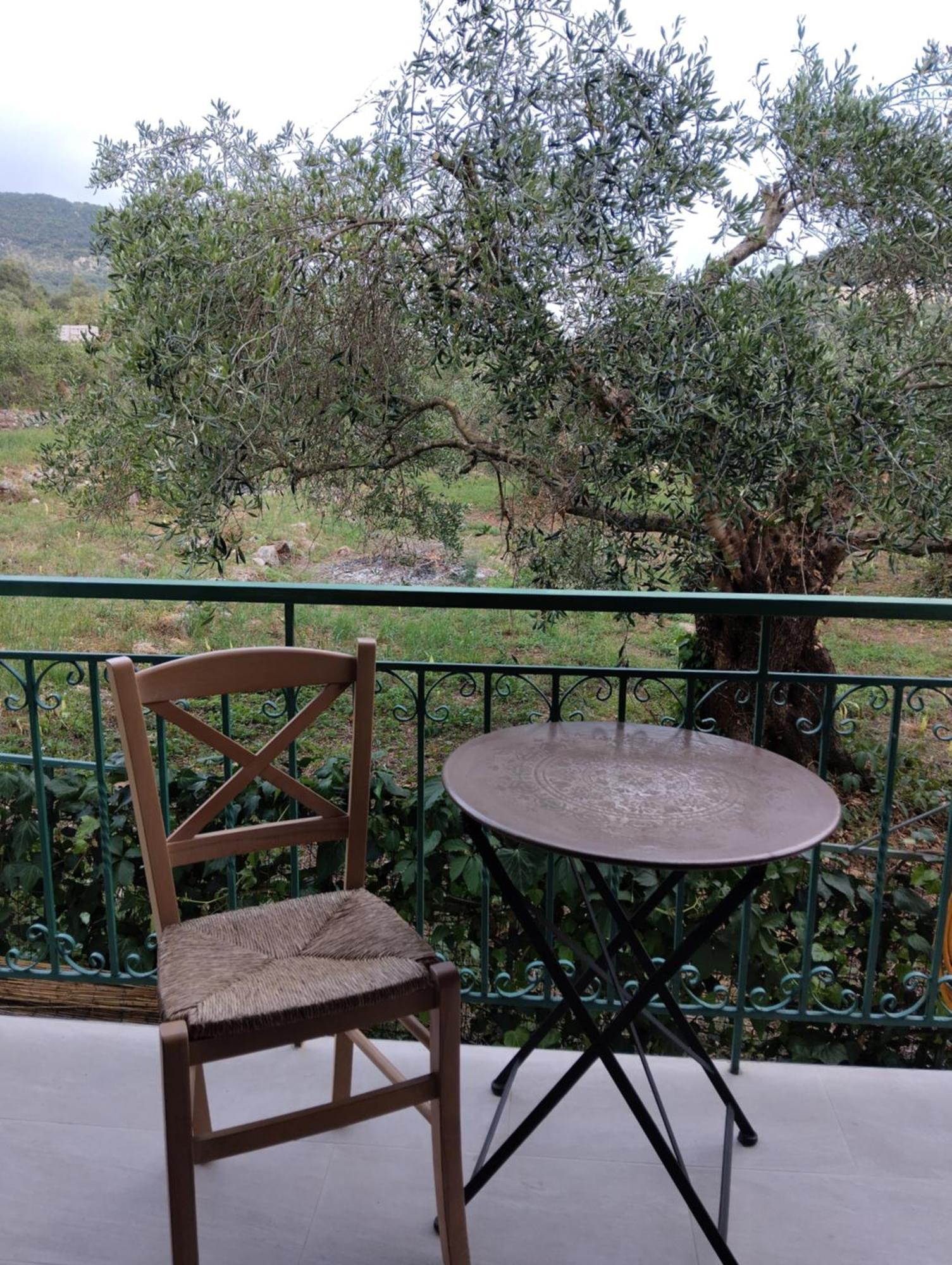Hotel apartamentowy Harmony 2*
