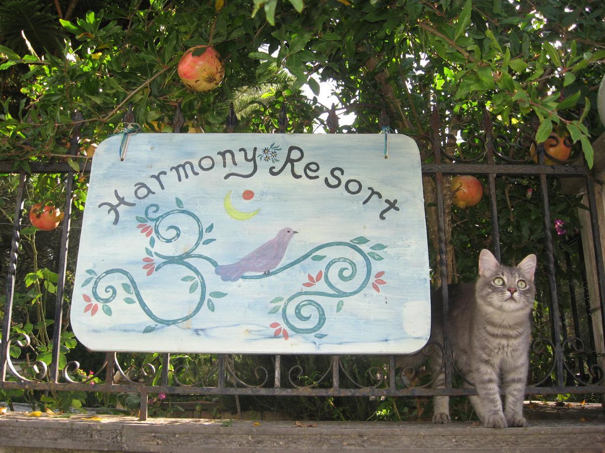 Hotel apartamentowy Harmony Párga